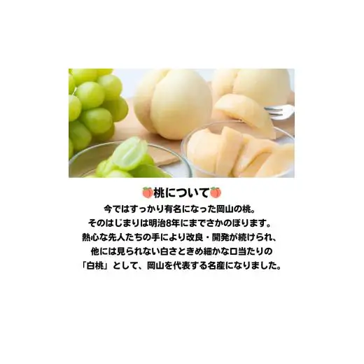 詰合せ 白桃 晩生種 2玉 シャインマスカット 1房 合計約1.0kg 岡山県産 【先行予約 2026年8月下旬から順次発送】