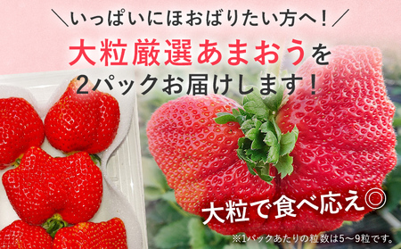 【2027年発送先行予約】厳選大粒あまおう(約250～270g×2パック) いちご フルーツ 果物 あまおう 苺 イチゴ ギフト 大粒 福岡【発送時期2027年2月上旬～2027年4月中旬】