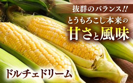 2026年6月上旬より順次発送 スイートコーン ドルチェドリームと甘々娘の食べ比べBHCJ003 スイートコーン 