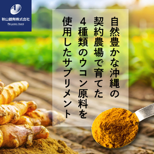 健康食品 ウコン sp(1粒330mg×100粒)