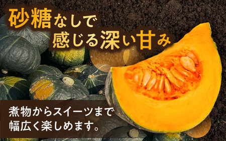 【先行予約】北海道 かぼちゃ 特濃こふき 2個 【9月中旬以降発送】足寄町/足寄アグリバイオ株式会社 [BEAC011]
