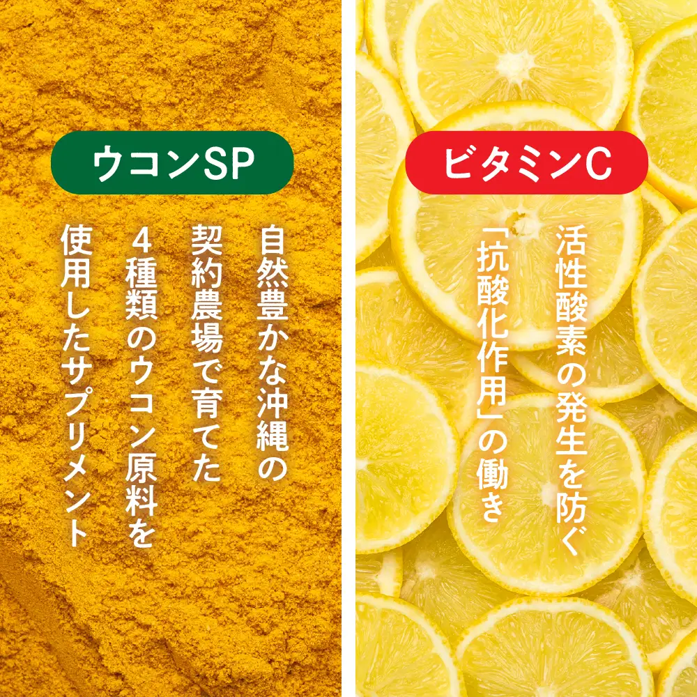 健康食品 2種 詰め合わせ ウコンsp(1粒330mg×100粒) ビタミンCプラスクエン酸 アセロラ風味(350mg×90粒)