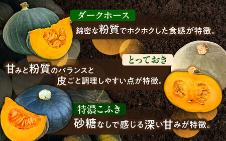 【先行予約】北海道 かぼちゃ 訳あり ダークホース・とっておき・特濃こふき 3種類×1個 【9月中旬以降発送】足寄町/足寄アグリバイオ株式会社 [BEAC014]
