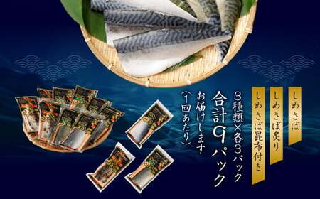 【全12回定期便】旬の美味しさを感じる！しめさば3種詰め合わせ ／ サバ さば 鯖 しめ鯖 シメサバ 魚介類 海産物 冷凍 国産 音丸水産 長崎県 長崎市