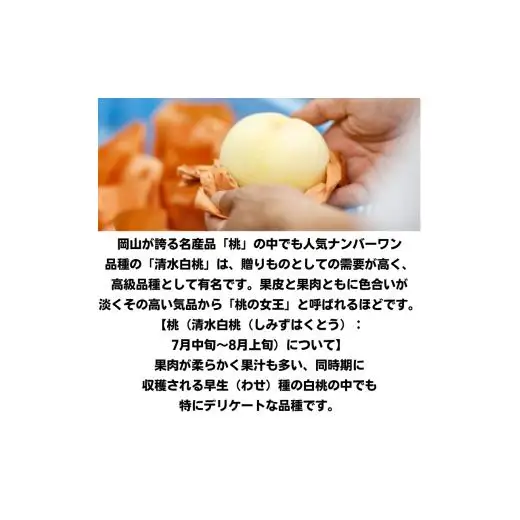 清水白桃 8玉 約2.0kg 岡山県産 【先行予約 2026年7月中旬から順次発送】