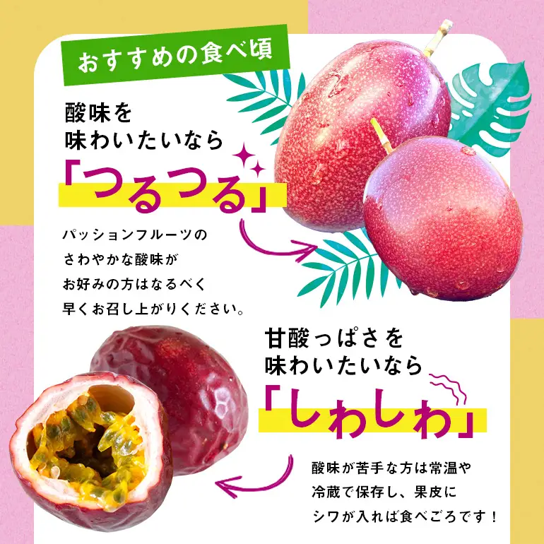 【 2026年 先行予約 】 パッションフルーツ 家庭用 約1kg A194-001-01 フルーツ 果物 南国 デザート 期間限定 限定 自然 美味しい カクテル ヨーグルト サラダ 奄美都農園 ふるさと納税 鹿児島 奄美市 おすすめ ランキング プレゼント ギフト