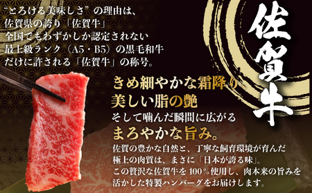 佐賀牛ハンバーグ10個