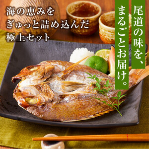 尾道物語セット　(漬魚・一夜干し・お 刺 身)