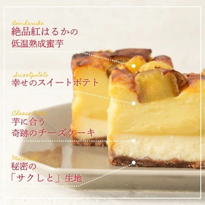 九州産紅はるかの焼き芋を使ったプレミアム蜜芋スイートポテトチーズケーキ　6回定期便_定期便 九州産 紅はるか 焼き芋 使用 プレミアム 蜜芋 スイートポテト チーズケーキ 1本 約 480g 回数 6回 低温 じっくり 熟成 自然な甘み 濃厚 チーズ ケーキ しっとり 食感 サクしと ティータイム ご褒美 プレミアムスイーツ デザート 〔Tk042〕