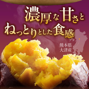 【個包装】九州産紅はるか焼き芋 便利な食べ比べセット合計3.2kg以上　6回定期便_個包装 九州産 紅はるか 焼き芋 便利 食べ比べ セット 合計 3.2kg 以上 回数 6回 鹿児島県 鹿屋産 フルーティー 甘さ しっとり 食感 熊本県 大津産 濃厚 ねっとり 糖度 45度以上 自然解凍 電子レンジ 半解凍 おやつ デザート 〔Tk045〕
