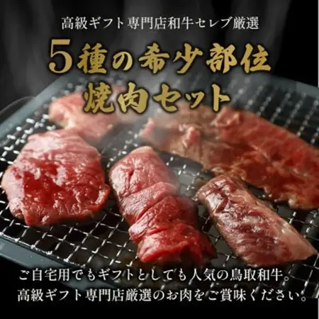 【化粧箱入り】和牛セレブの鳥取和牛5種食べ比べ500g【配送不可地域：離島】【1530376】