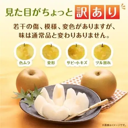 【訳あり】鳥取県産旬の梨セット 4kg【配送不可地域：離島・北海道・沖縄県】【1554510】