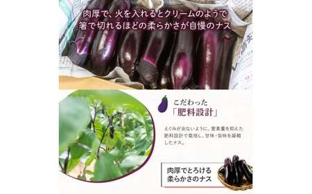 【予約受付】【期間限定】 焼いてトロける！三浦農園のトロなす2kg 栽培期間中農薬・化学肥料不使用 ／Fms-16 農産物 新鮮 焼きナス 野菜 大量 