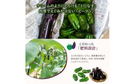 【予約受付】【期間限定】 ピーマン・トロなすセット 2kg（各1kg） 栽培期間中農薬・化学肥料不使用 ／Fms-17 農産物 新鮮 肉厚ピーマン 焼きナス 野菜 大量 農薬不使用 化学肥料不使用