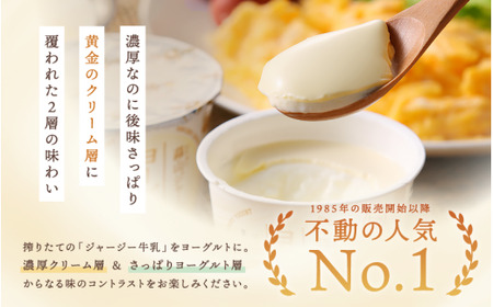 【定期便 月2回×12カ月】 全24回 蒜山ジャージーヨーグルト10個入 定番人気NO.1 冷蔵 「ご当地ヨーグルトグランプリ」金賞 デザート プレゼント 蒜山酪農 真庭   岡山  ジャージー 牛 牛乳 ミルク 濃厚 乳製品 おやつ 子供から大人まで 人気 ランキング 女性 ヨーグルト 【hiru-tkb005】