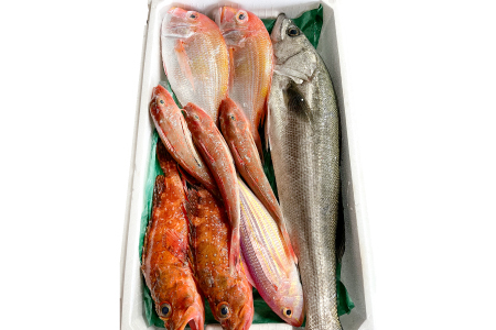旬の鮮魚ＢＯＸお任せセット（梅）【鮮魚 約5kg 冷蔵 旬 魚 さかな 天然 天然魚 新鮮 地魚 産地直送 水揚げ次第発送 おまかせ セット 詰め合わせ お取り寄せ 大田市 和江漁港】