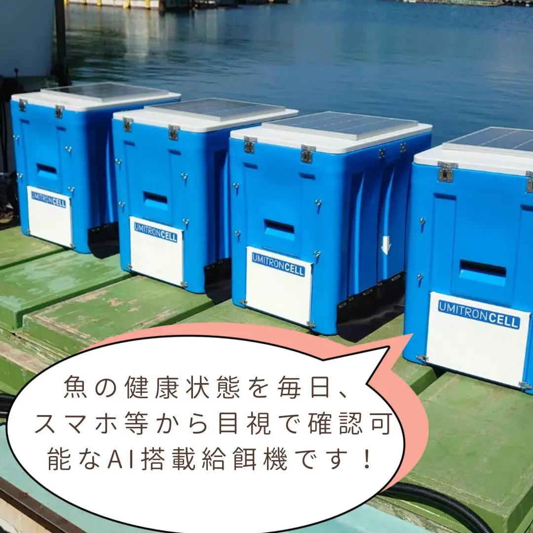 体験 餌やり 漁場 見学 チケット 1時間30分 コース  魚類養殖現場 AI 餌やり 体験 ＆ 漁場 見学 こもこもShop L020-186009