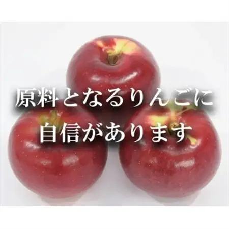 【南信州あじさい農園】林檎果汁(無添加りんごジュース) 6本入り【1586937】