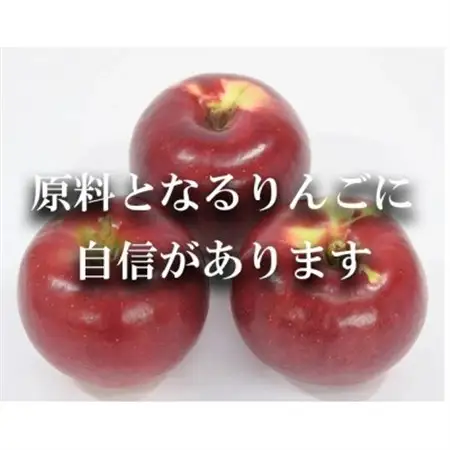 【南信州あじさい農園】林檎果汁(無添加りんごジュース) 3本入り【1587011】