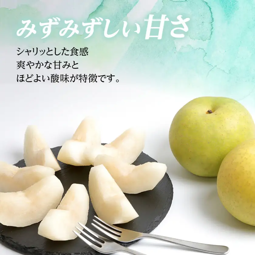 二十世紀梨 9kg(秀24～28玉)【1615462】