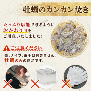 殻付き牡蠣 12個 カンカン焼きのおかわり 加熱用 殻付き牡蠣 加工食品 冷凍 鍋 かき 牡蠣 カキ  オイスター oyster アヒージョ バーベキュー BBQ フライ 揚げ物 ごはん 夕飯 おかず おつまみ 晩酌 米 丼 海産物 海鮮 魚介 魚介類 贈答品 お中元 大船渡 三陸 岩手県 国産 牡蠣