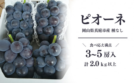 【特選品】 ピオーネ 3-5房/計2.0kg～ 種なし (岡山県産)【KF-B007-02】