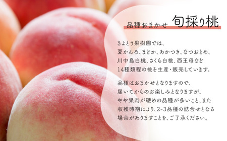 量より質！桃(5-7玉)とピオーネ＆シャインマスカット(特大２房)の2回便(定期便)(岡山県産) 2026年先行予約 【KF-T056-04】