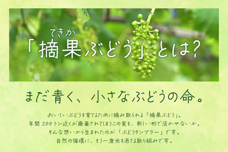 摘果ぶどうのタンブラー（ぶどう濃度3％） タンブラー コップ グラス プラコップ プラカップ エコ SDGs サステナブル エシカル リサイクル 摘果ぶどう ブドウ 東浦 MEISEI