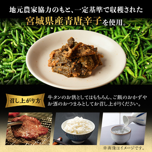 ゆたかやの 南蛮みそ漬け 80g×5袋 牛タンのお供に 青唐辛子 青とうがらし 南蛮 味噌漬け なんばん味噌 漬物 おつまみ おかず 【豊屋食品工業株式会社】sh042