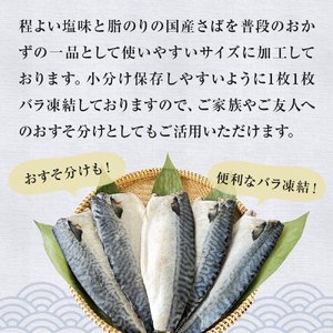 国産 塩さば フィーレ 約160～200g 10枚 サバフィレ 鯖 サバ さば フィレ 切り身 塩サバ 特大 バラ凍結 冷凍 魚 魚介
