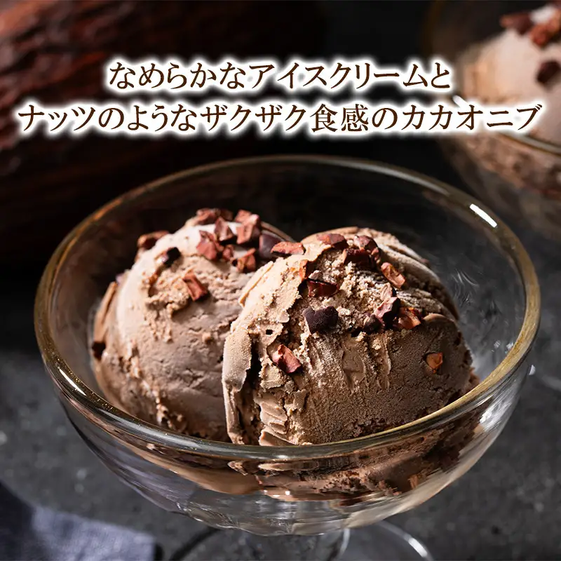 【dari K（ダリケー）】ザクザク食感のカカオニブチョコレートアイス(8個セット)［ 京都 チョコレート カカオを通して世界を変える 濃厚 チョコ アイス 人気 おすすめ お菓子 洋菓子 スイーツ ギフト プレゼント お取り寄せ 通販 送料無料 ふるさと納税 ］