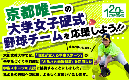 ＜Lサイズ・蛍光黄色＞京都文教大学 女子硬式野球チームTシャツ(1枚)  Tシャツ グッズ 女子硬式野球 野球 硬式 京都文教大学 【uj-DO001-L-A】【京都文教大学】