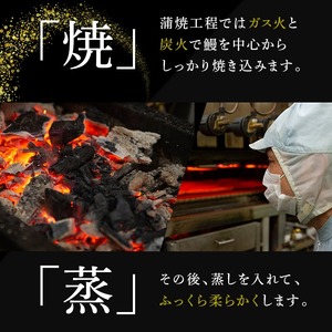 八本木樽鰻2尾＆お茶セット うなぎ蒲焼(156g以上×2尾)＆煎茶さがの(100g) 鰻 タレ たれ さんしょう 山椒付 お茶 緑茶 鹿児島県産 国産 セット 冷凍 おかず おつまみ お祝い 惣菜 a5-330