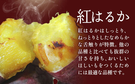 訳あり 紅はるか の ほしいも スティック タイプ 800g《30日以内に出荷予定(土日祝除く)》株式会社ゆうゆう農園 スイーツ おやつ 芋 さつまいも 和菓子 お菓子 茨城県 河内町 【配送不可地域あり】（沖縄・離島）