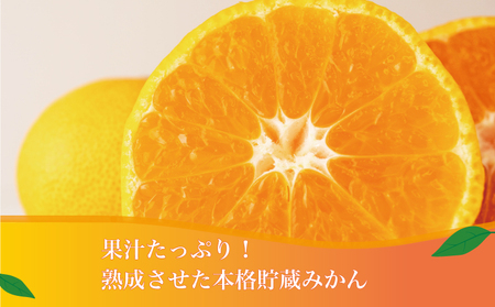寿太郎みかん 約10kg みかん 蜜柑