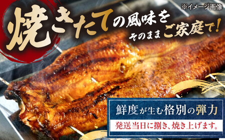 【 蒲焼き 】国産活うなぎ1尾[AQDF006]蒲焼き