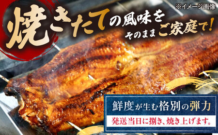 【 蒲焼き 】国産活うなぎ3尾[AQDF008] 蒲焼き