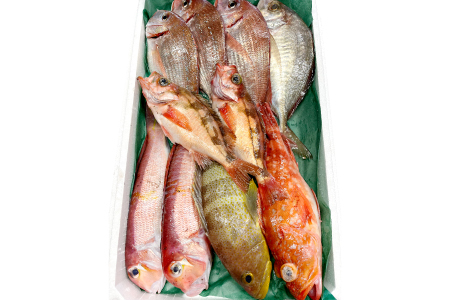 旬の鮮魚ＢＯＸお任せセット（竹）【鮮魚 約5kg 冷蔵 旬 魚 さかな 天然 天然魚 新鮮 地魚 産地直送 水揚げ次第発送 おまかせ セット 詰め合わせ お取り寄せ 大田市 和江漁港】
