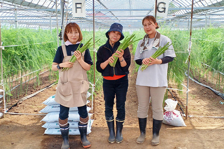 【先行予約】 アスパラガス 1kg 【2026年5月～9月に順次発送予定】