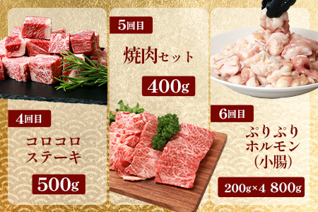 【 定期便 全10回 】 10ヶ月連続でお届け！ 牛肉 オール椎葉牛大満足セット 総重量 5,180g 【 日本三大秘境 椎葉村 育ちの黒毛和牛 】 牛肉 ステーキ 精肉 ホルモン モモ肉 ヒレ肉 定期便 肉 スライス肉 サーロイン A5等級指定 黒毛和牛 A5ランク TK-105