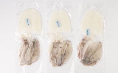 【五島列島産】最高級アオリイカ1kg-1.2kg（下処理前） 五島市/マルセイ水産[PBT003]  刺身 冷凍 いか 海鮮 あおりいか 海産物