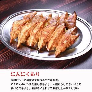 冷凍餃子 にんにくあり なし 食べ比べ 各2個 餃子