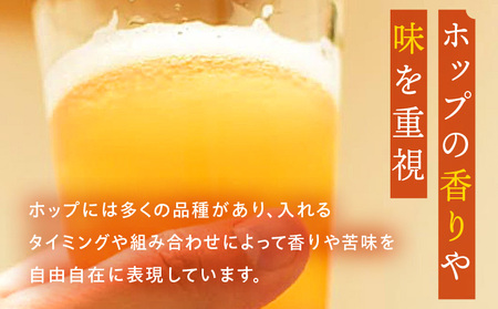 おまかせMIX6缶セット ビール アルコール 飲料 大麦 大麦麦芽 ホップ ローカル ご当地 贈り物 ギフト お歳暮 お中元 缶ビール 缶 さけ 酒 お酒 宮崎ビール ブルワリー ノボルブルーイング クラフトビール 地ビール ノボル 冷蔵便 飲み比べ おまかせ