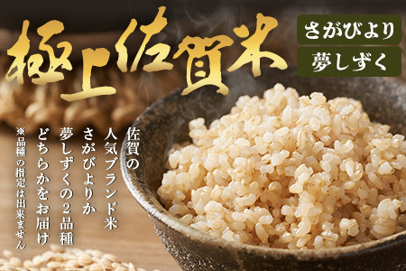 【ふるなびWEEK対象】令和7年産 鹿島市産 [さがびよりor夢しずく] 5kg 1袋 【品種指定不可】 玄米 精米 C-154