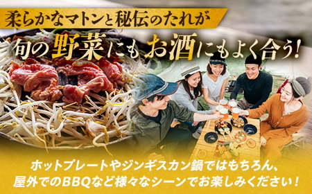ゆきだるまジンギスカン 250g×10袋セット | Ge-4 羊肉 マトン 焼肉 味付き まとめ買い