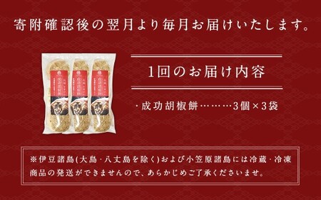 【全12回定期便】電子レンジで簡単調理 台湾B級グルメ人気No.1 成功胡椒餅 計108個 (9個×12回)【チャイデリカ】 ／ 簡単調理 台湾 グルメ 豚肉 長崎県 長崎市