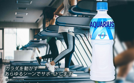 アクエリアスゼロ 500mlPET_24本入り×1ケース｜ スポーツドリンク 水分補給 熱中症対策 アクエリ