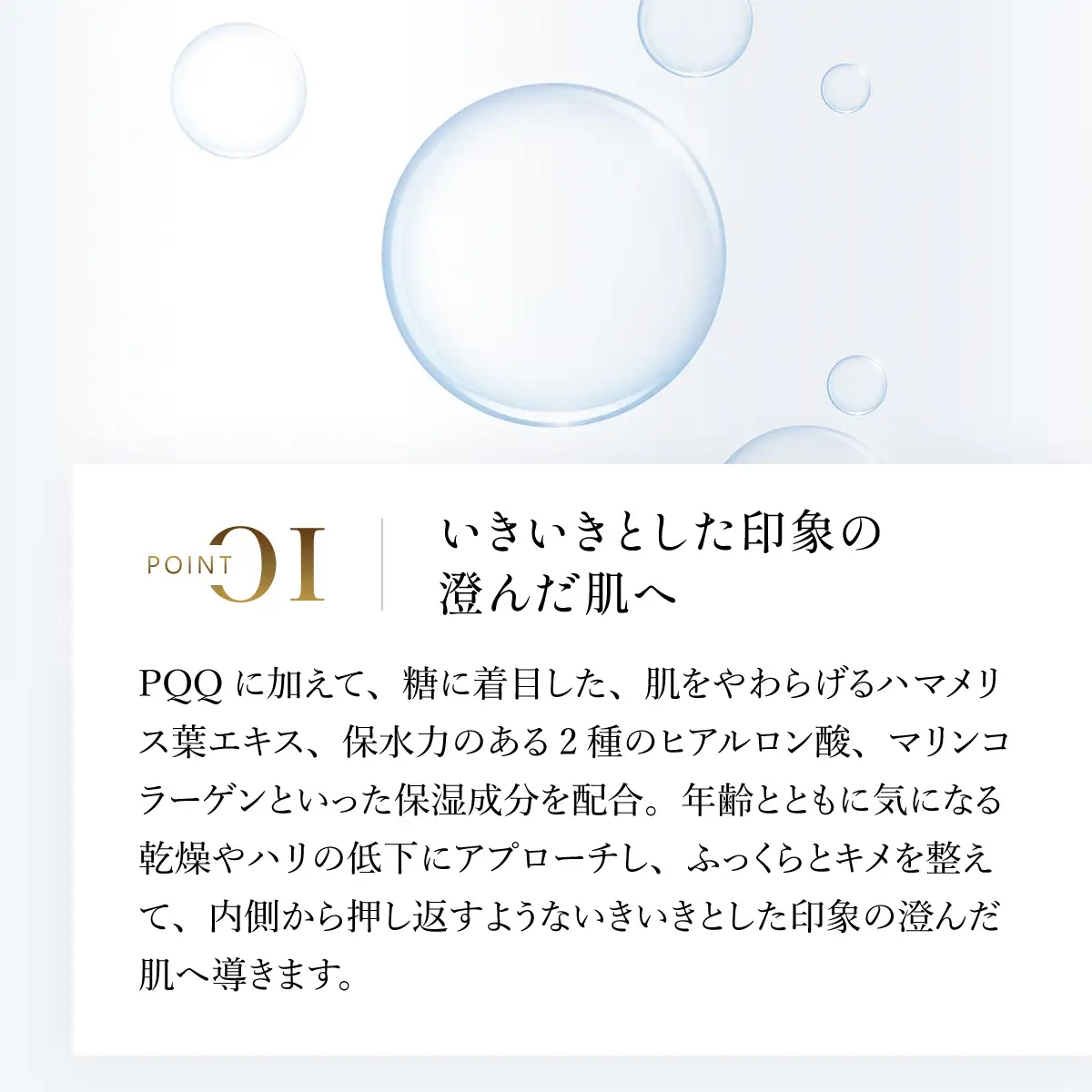 66453_DHC Pアップ ローション MBB035