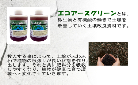 土壌改良材 エコアースグリーン1000ml×2本 計2L セット