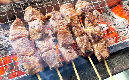 父の日 牛串 6本 牛肉 肉 焼肉 焼き肉 バーベキュー 冷凍 福井県 若狭町